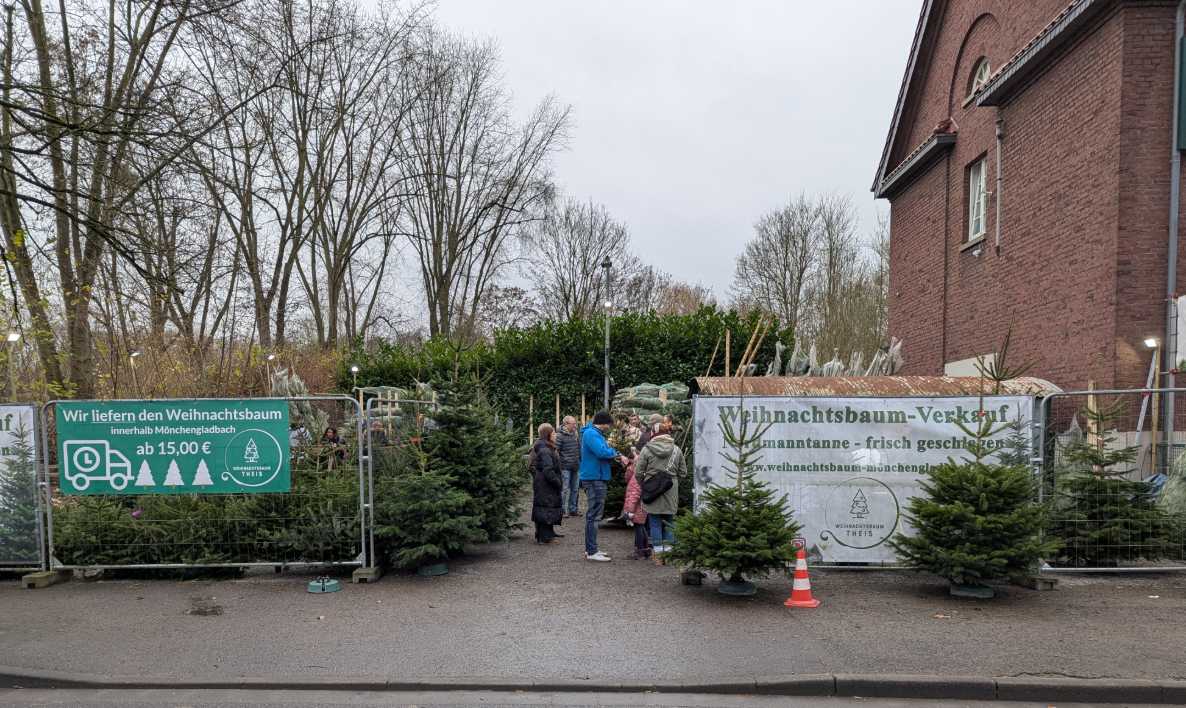 Weihnachtsbaumverkauf Theis Mönchengladbach 1
