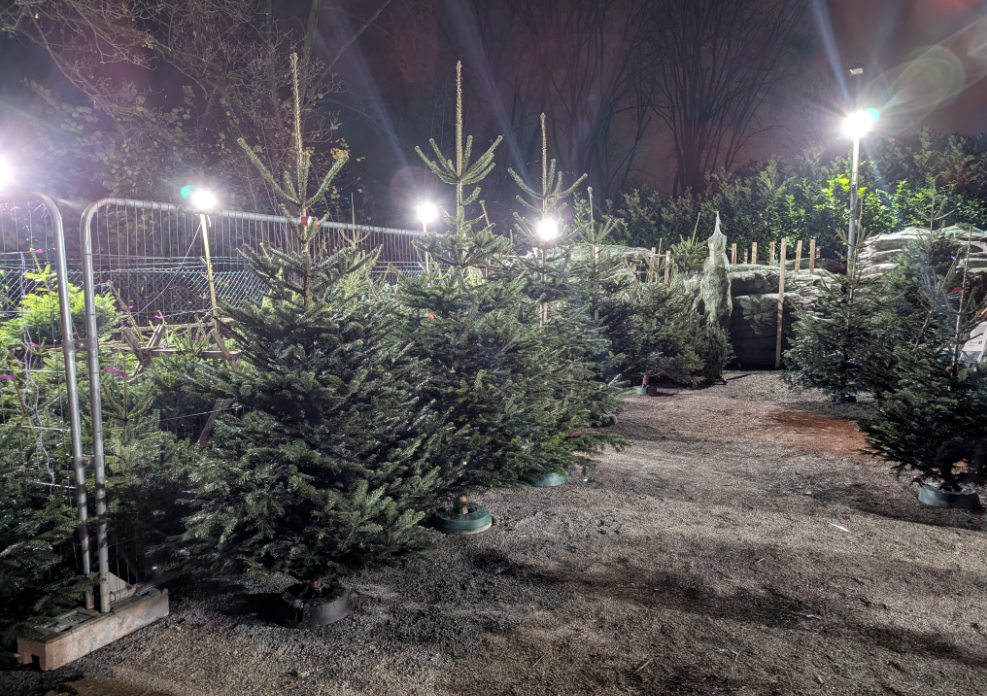 Weihnachtsbaumverkauf Theis Mönchengladbach 3